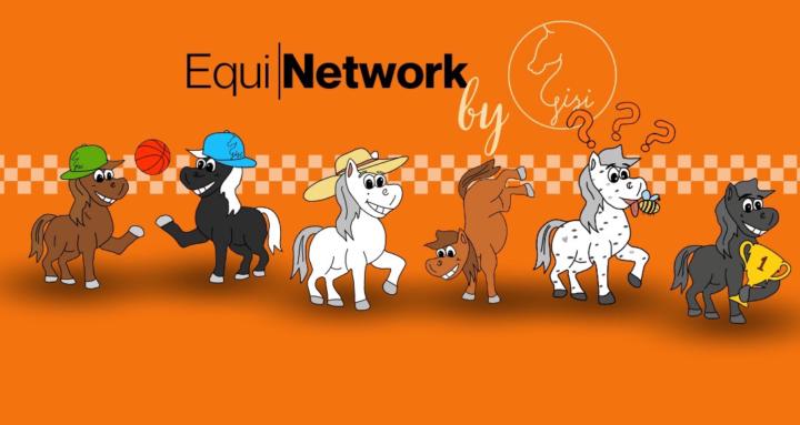 EquiNetworks – Deine neue Reit-Community für Austausch, Wissen und Wachstum